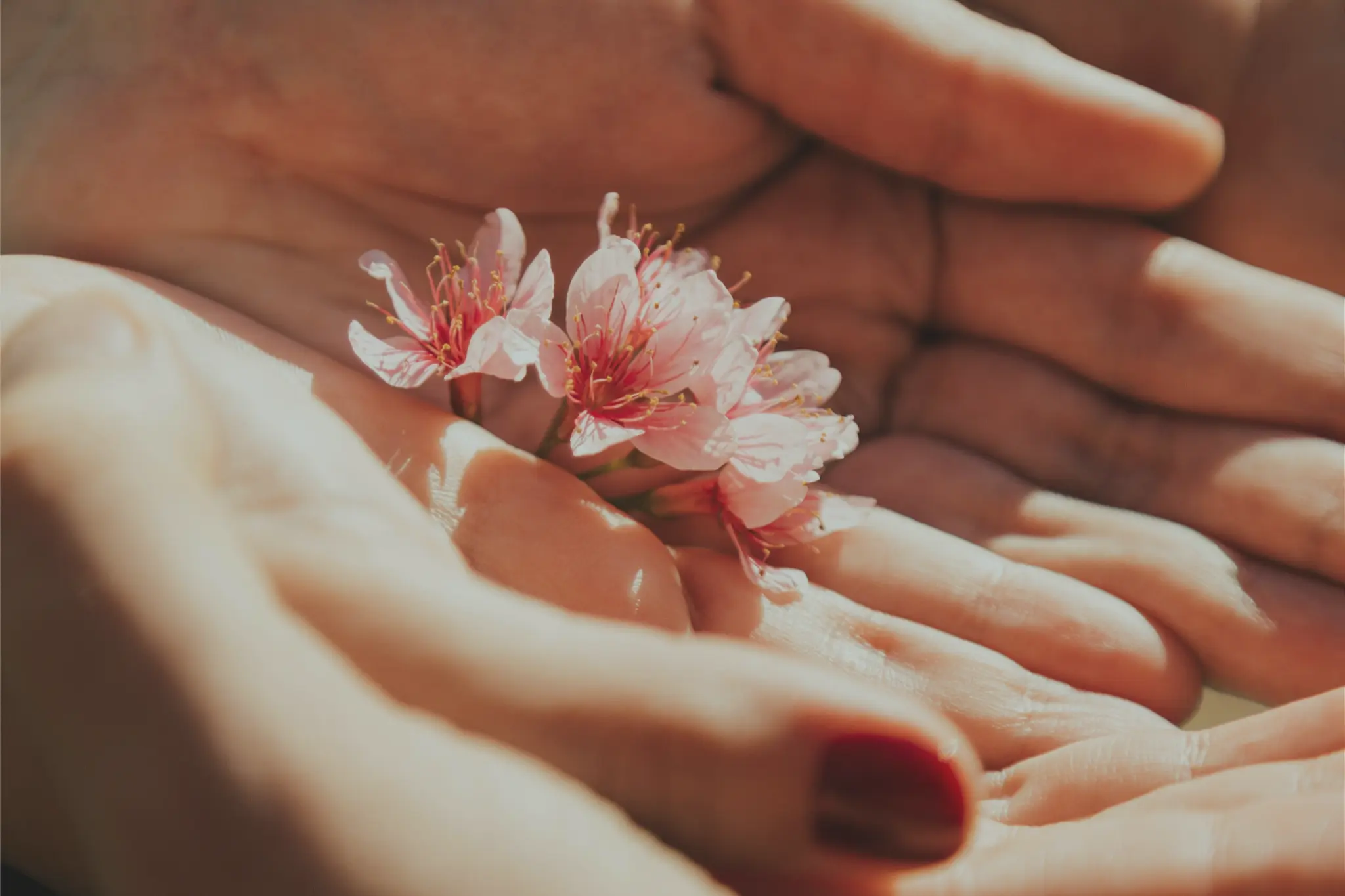 Cover Image for ¿Es posible reducir los dolores menstruales con Acupuntura?